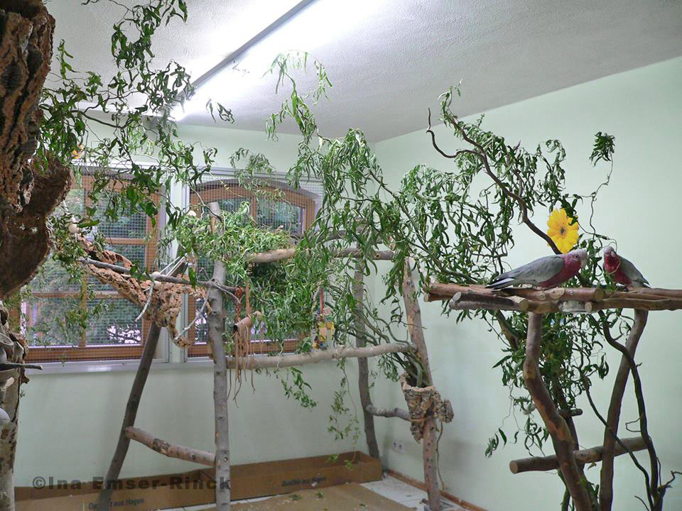 Vogelzimmer für Rosakakadus
