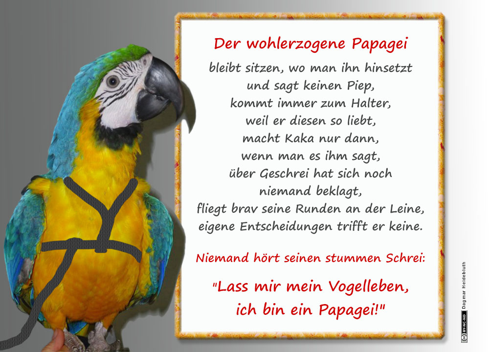 Der wohlerzogene Papagei